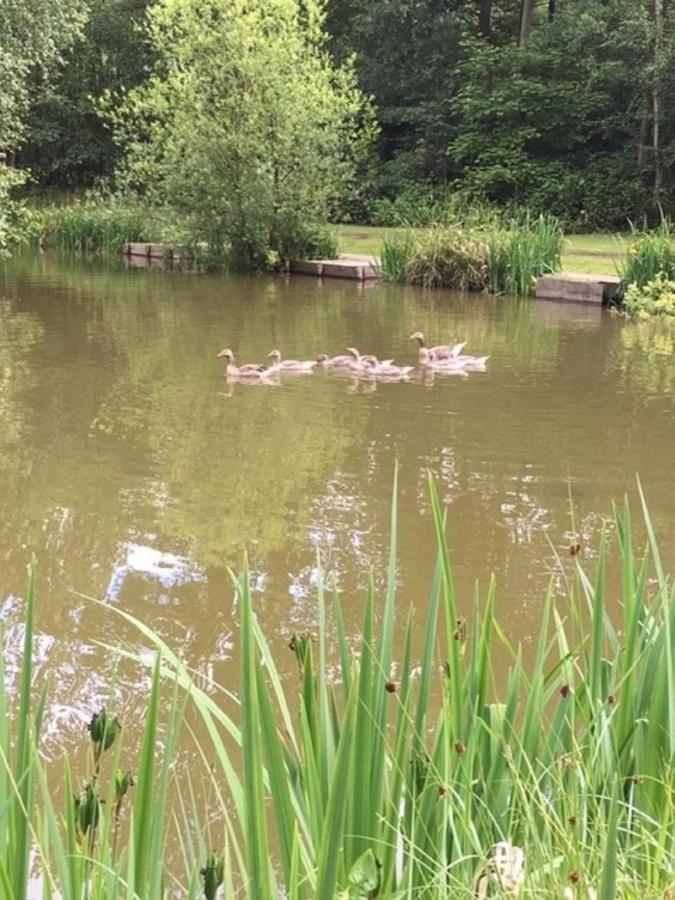 Hollicarrs - Kingfisher Lodge York