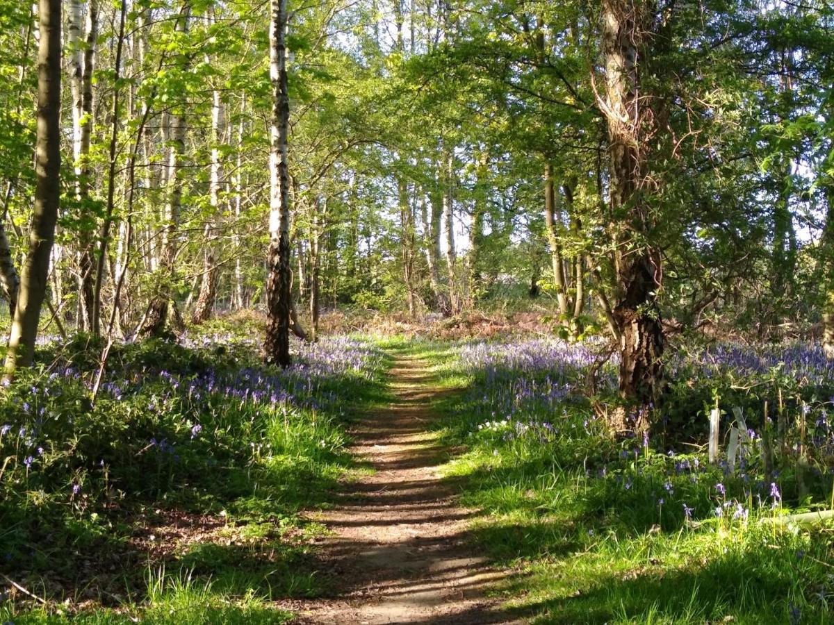 Hollicarrs - Kingfisher Lodge