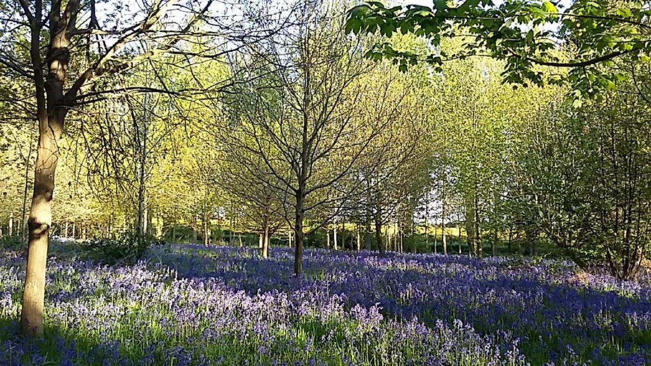 Hollicarrs - Kingfisher Lodge